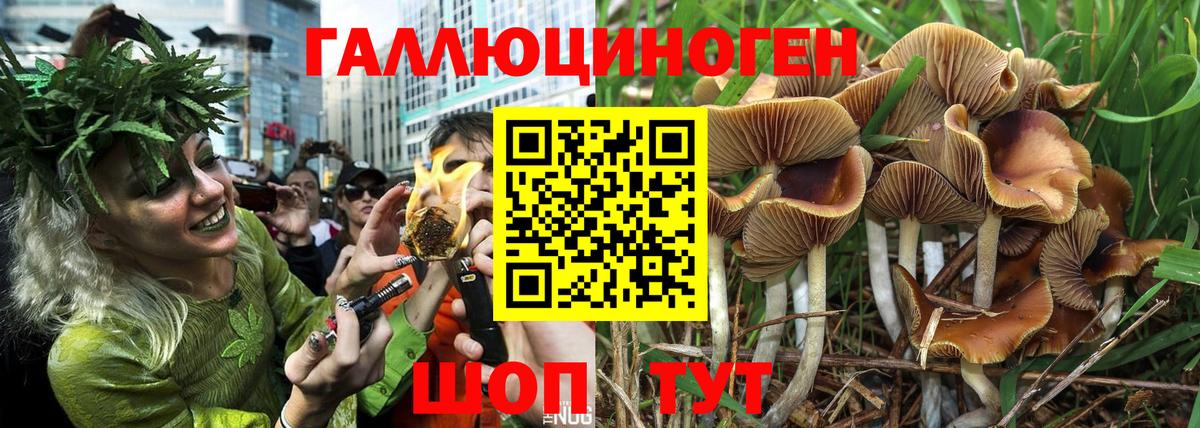 Янаул  Галлюциногенные грибы GOLDEN TEACHER  Вход с VPN 