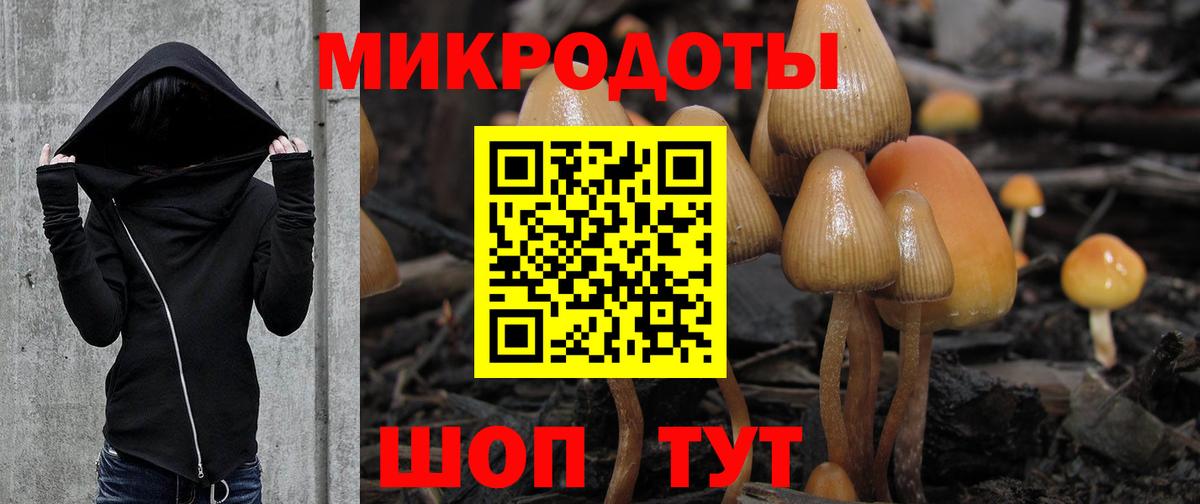 Галлюциногенные грибы Cubensis Янаул